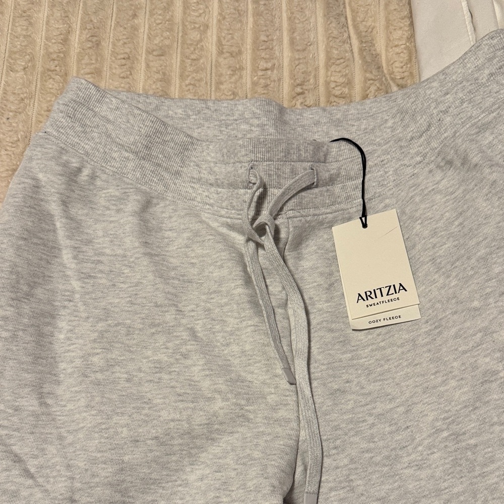 Aritzia Gray Joggers